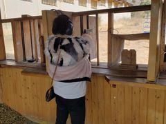 -猎鹰谷实弹射击俱乐部