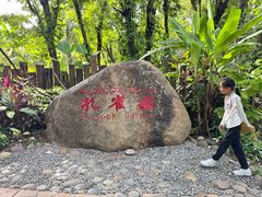 -西双版纳傣族园
