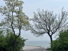 -阳澄湖半岛旅游度假区