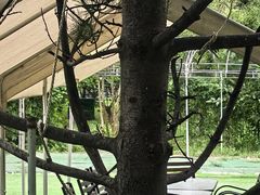 -尚庄度假村·庭台树下·户外烧烤·团建CS·轰趴营地(上庄水库店)