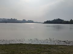 -九龙湖公园