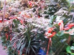 -花鸟鱼虫鲜花绿植市场(玉泉路店)