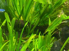 -上海海洋水族馆