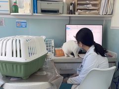 -纳吉亚猫专科动物医院·北北分院