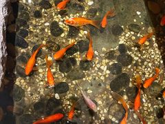 -邈墨茶馆(凤起路店)