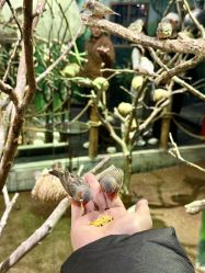 -Zoolung Zoolung动物主题公园(海信广场店)