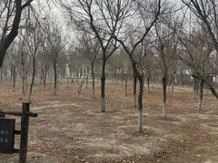 -西青郊野公园