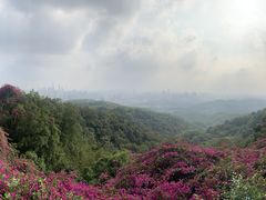 -广州市白云山风景名胜区