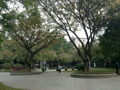 -垂虹公园
