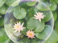 -长兴太湖图影湿地文化园