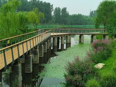 -东郊湿地公园