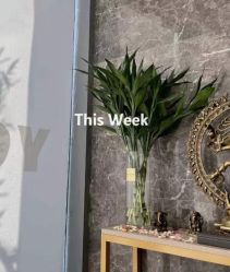 -酉嘉瑜伽YO+YOGA