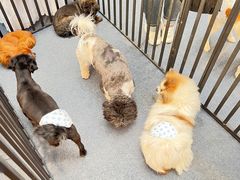 -万达广场(太原街店)