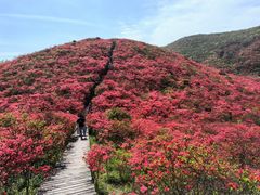 -大围山国家森林公园