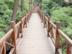 -大岭沟猕猴桃谷风景区