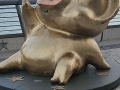 -星光大道