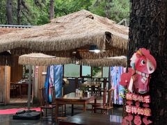 -小小饭店·休闲农庄·安吉松树林里的农家菜