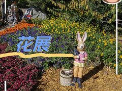 -香山公园