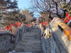 -妙峰山风景名胜区