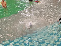 -南宫温泉水世界