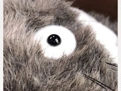 -三鹰之森吉卜力美术馆