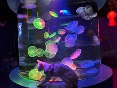 -太平洋海底世界