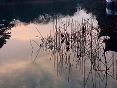 -西湖外事游船(花港观鱼码头)