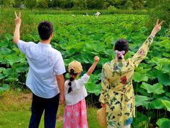 -上海长兴岛郊野公园