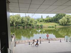 -中国湿地博物馆