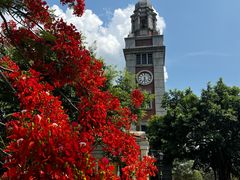 -观澜湖华谊冯小刚电影公社(百年记忆公社)