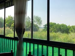 -大湾区中央湿地公园-十九涌