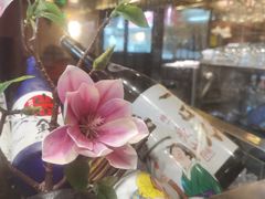 -熊藏居酒屋(kkone店)