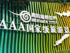 -海合安青岛极地海洋公园