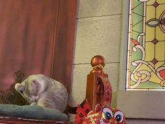 -逃脱反斗城沉浸剧情密室(北京路店)