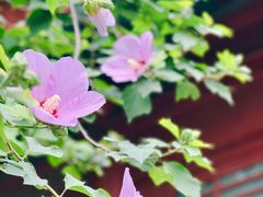 -西安碑林博物馆