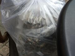 -王阿姨文昌油赞子(府桥街店)