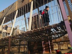 -安德鲁户外烧烤帐篷营地(马泉营店)