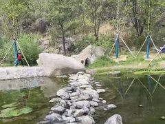 -白水寺森林公园