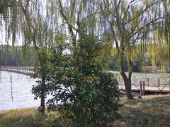 -溱湖国家湿地公园