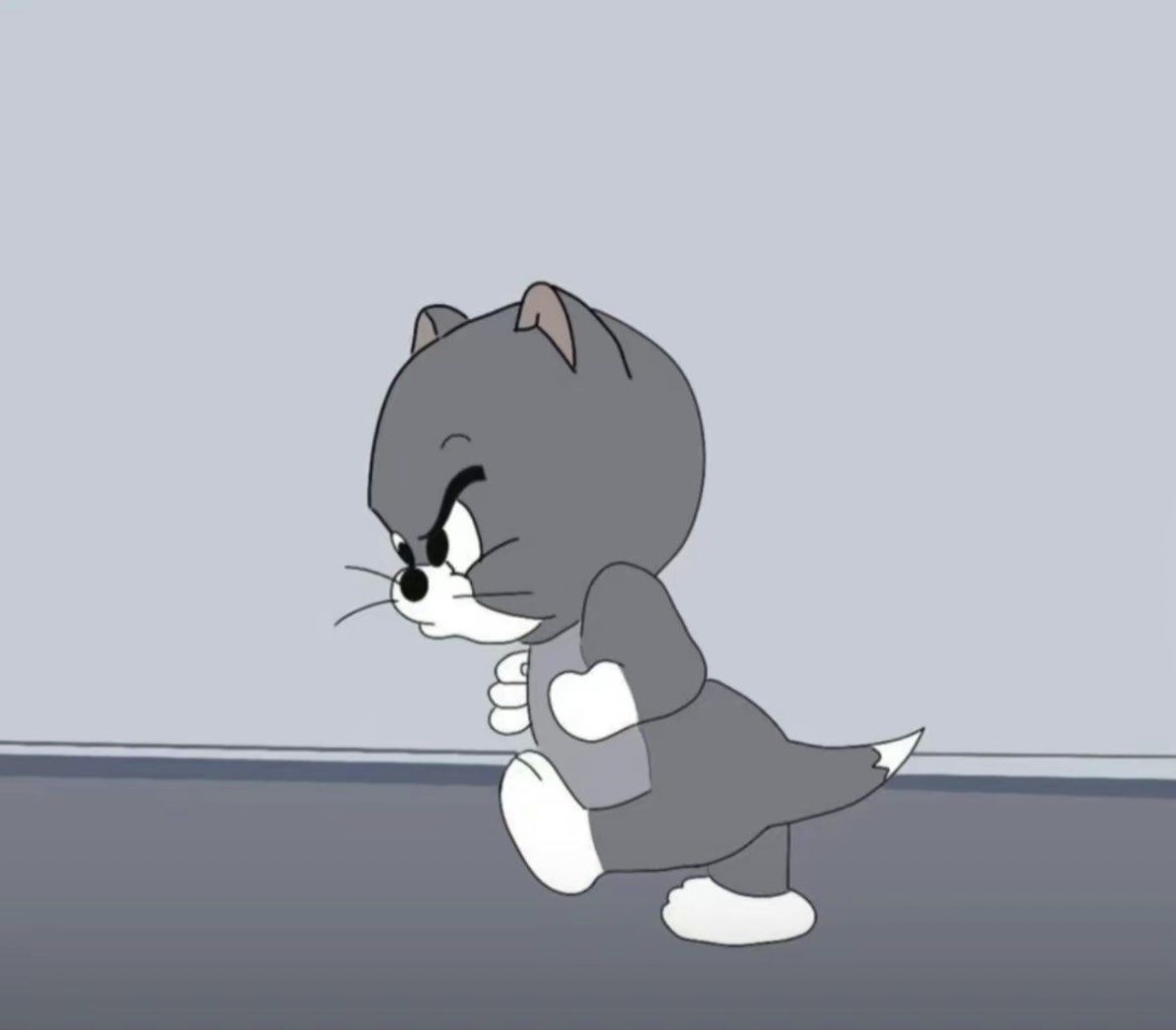 感觉自己家的小猫像极了汤姆和杰瑞里的小灰猫