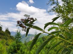 -重庆云阳龙缸景区