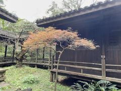 -黄公望隐居地