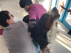 -爱诺动物医院(崂山店)