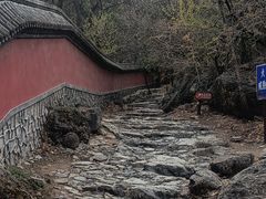 -阳台山自然风景区