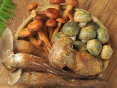 -同仁四季椰子鸡(福田东园总店)