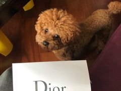 -Dior(海信广场店)