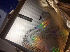 -BLACKSWAN黑天鹅(环球店)