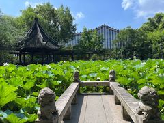 -上海醉白池公园