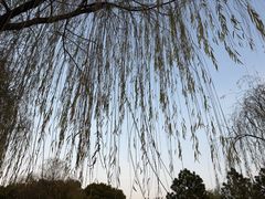 -九里河湿地公园