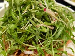 -新南华大酒店(长寿店)